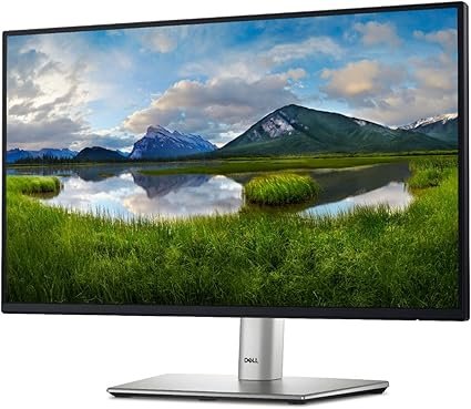 DELL 24 MONITOR