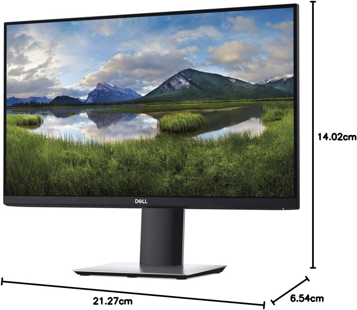 DELL 24 MONITOR